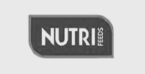 Logo Item