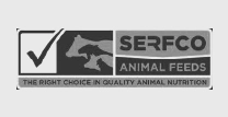 Logo Item