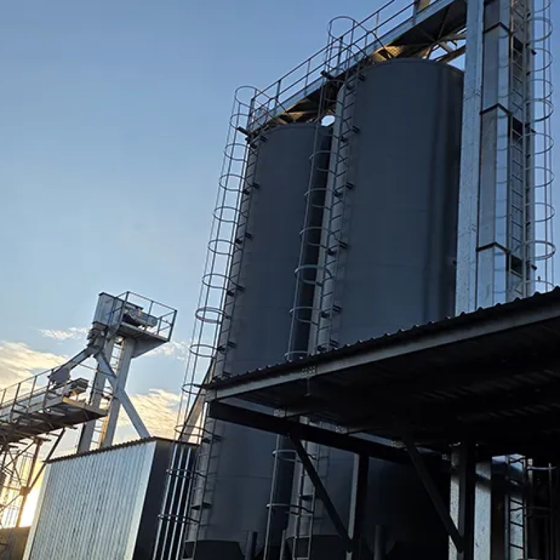 80t Feed Bins with offload hopper, augers, chain conveyor and elevators for Feeding Mills